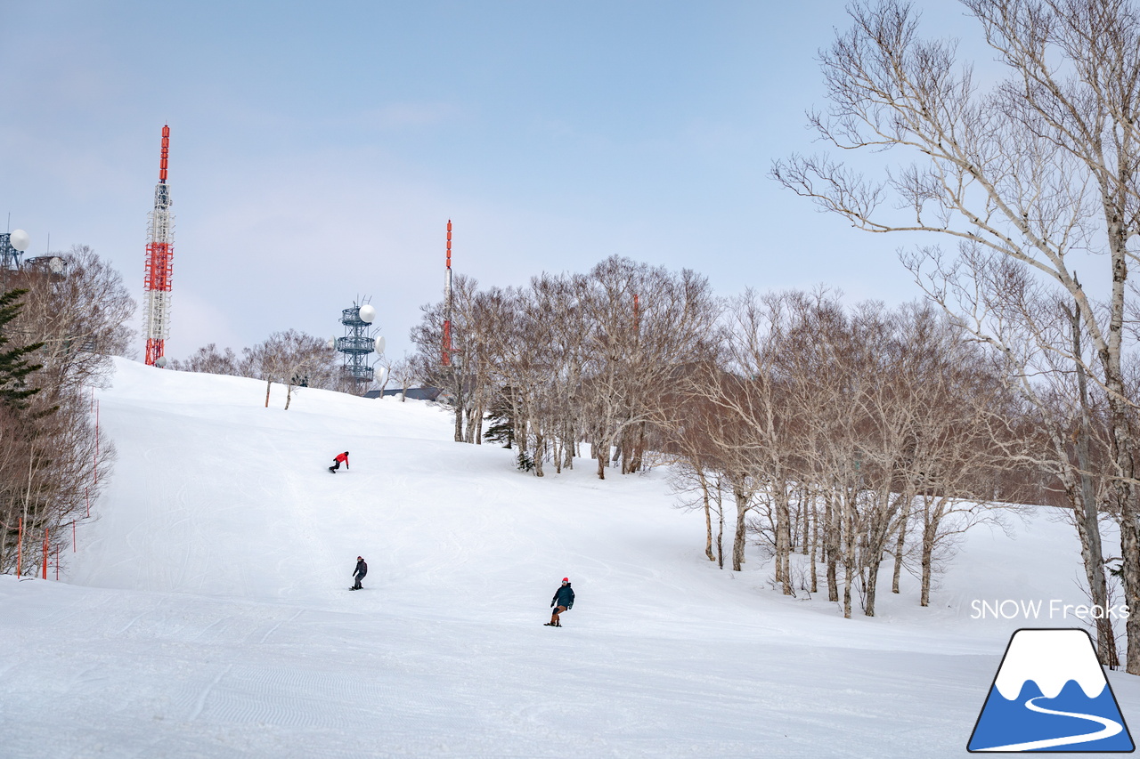 サッポロテイネ｜山頂積雪 285cm！絶好の春コンディションのゲレンデは、『アルペンスキー大会』『モーグル大会』『テイネ雪山祭り』『北海道米そり選手権2026』で大盛り上がり～(^^)v